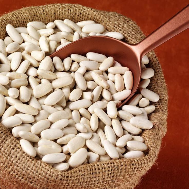 Premium Iranian Navy Beans Wholesale Supply for Military Catering & Armed Forces Stockpiles; On-Time Delivery & Sustainable Supply